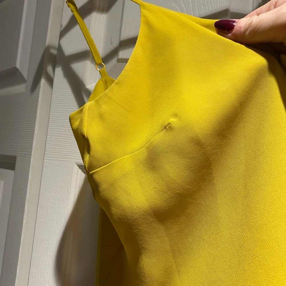 Cabi camisole, only worn a few times. Size medium. Great fall color - Picture 4 of 5